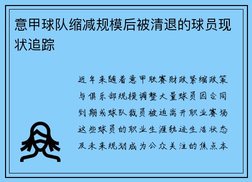 意甲球队缩减规模后被清退的球员现状追踪